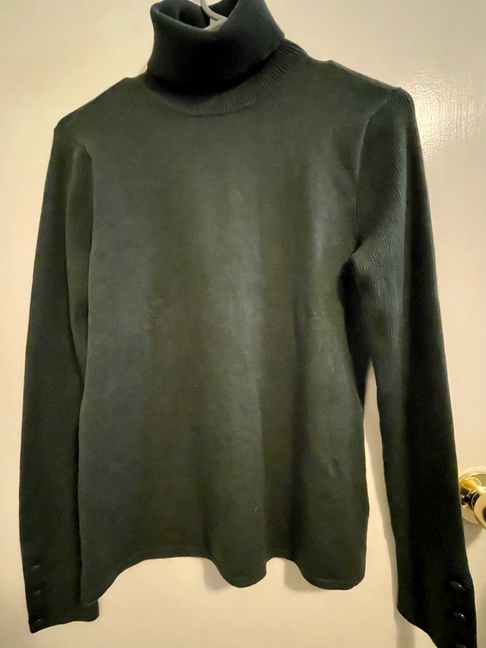L'AGENCE Men's Forest Green Turtleneck Sweater
